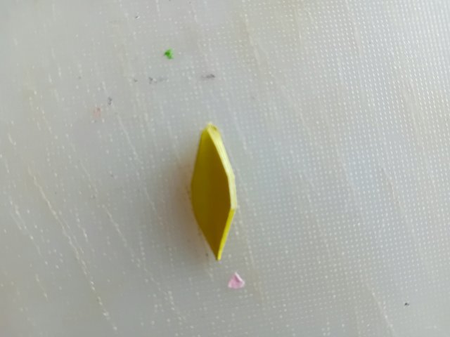 1000039064.jpg