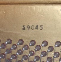 490172989_1323016095669643_8087829988912412776_n.jpg