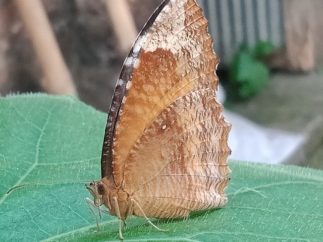 IMG20250405155923.jpg