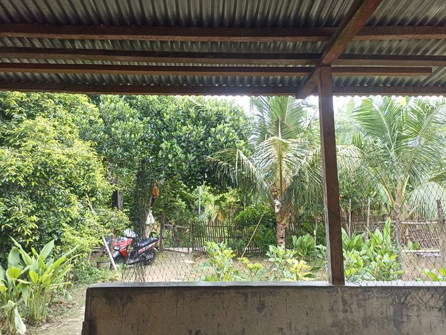 IMG_20250916_090430.jpg