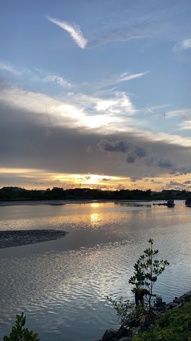 10DC4647-DA44-4F2F-932A-6E90184AE101.jpeg