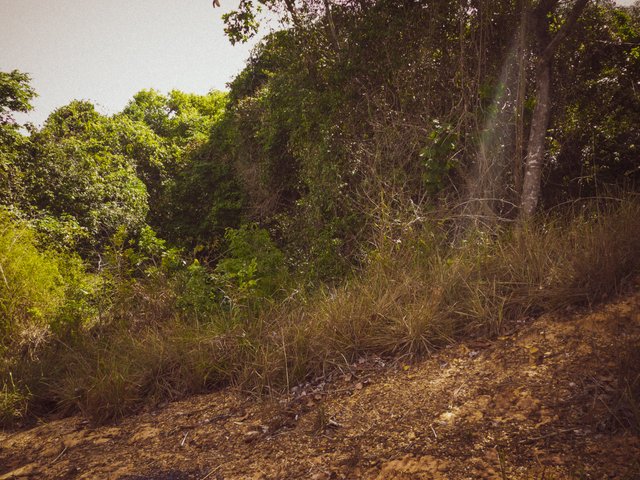 P1280346.jpg