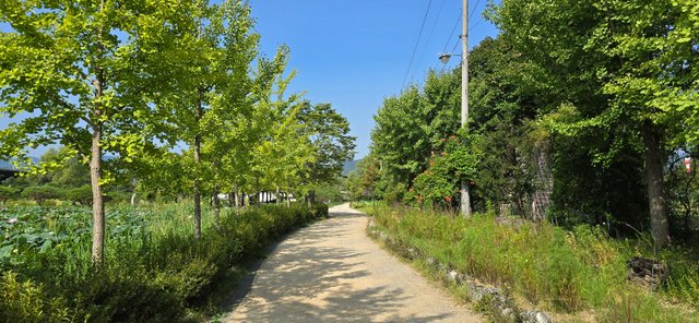 KakaoTalk_20240816_230115703_16.jpg