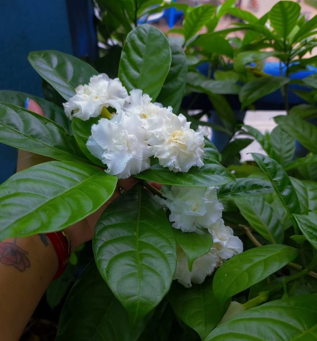 IMG_20251003_204057.jpg