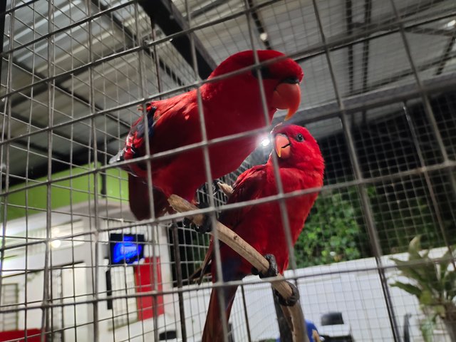 IMG_20250418_042649.jpg