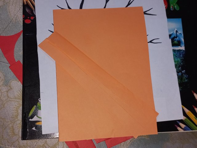 20250425_112856.jpg