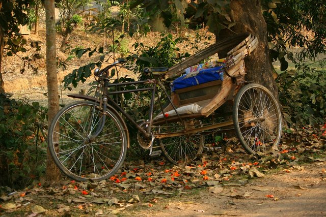 rickshaw-55175_1920.jpg