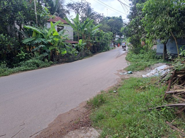 1000091275.jpg