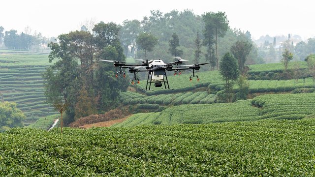 dji-4204799_1280.jpg