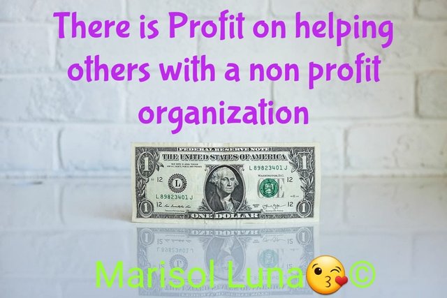 there is profit in the non profit.jpg