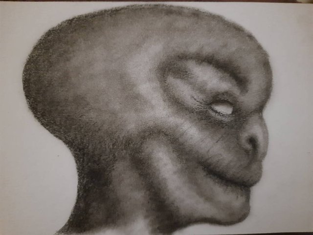 20250724_111147.jpg