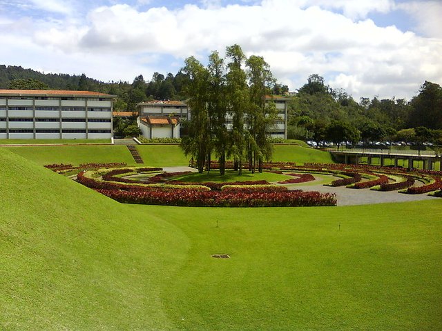 1024px-Laberinto_Cromovegetal_USB.jpg