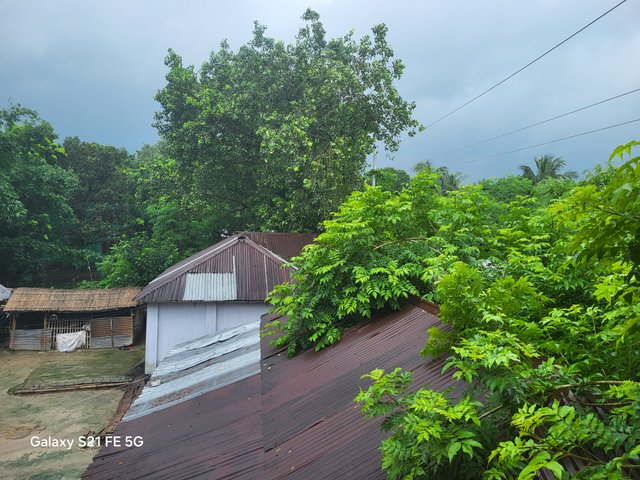 20250715_104147.jpg