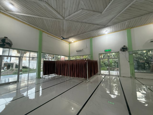 IMG_2946.jpeg