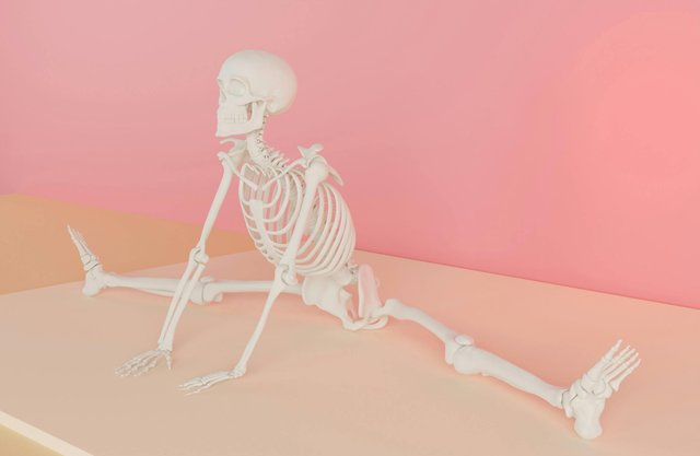 free-photo-of-skeleton-in-front-of-pink-wall.jpeg