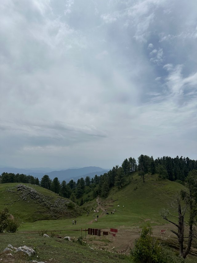 IMG_9455.jpeg