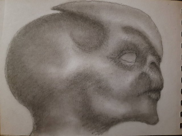 20250501_110748.jpg