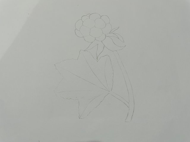 IMG_1884.jpeg
