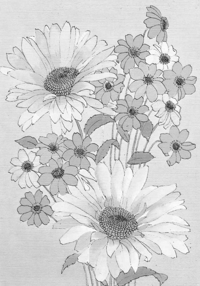 daisy greyscale.jpg