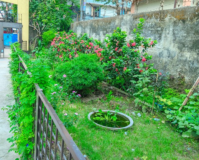 IMG_20250505_161551.jpg