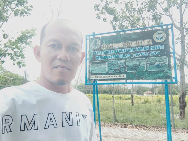 IMG20250406141657.jpg