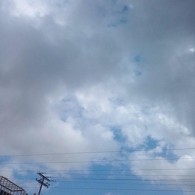 IMG_20250526_091550_535.jpg