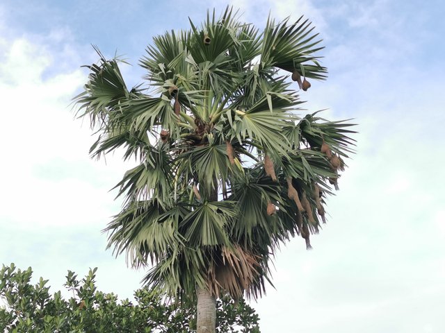 IMG_20250819_065714.jpg