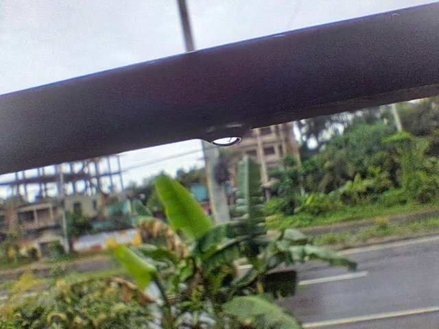 20250528_142427.jpg