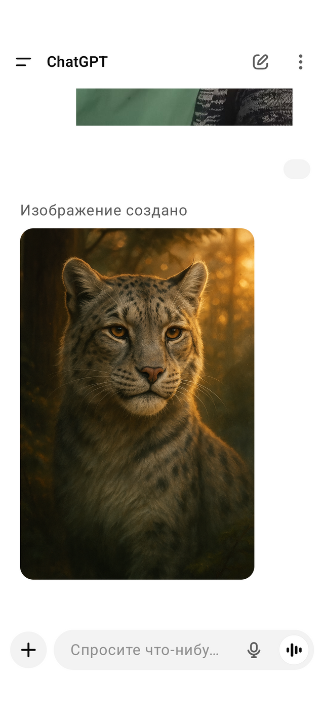 1000002309.png