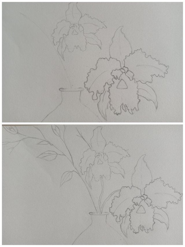 Collage_20250809_164203.jpg