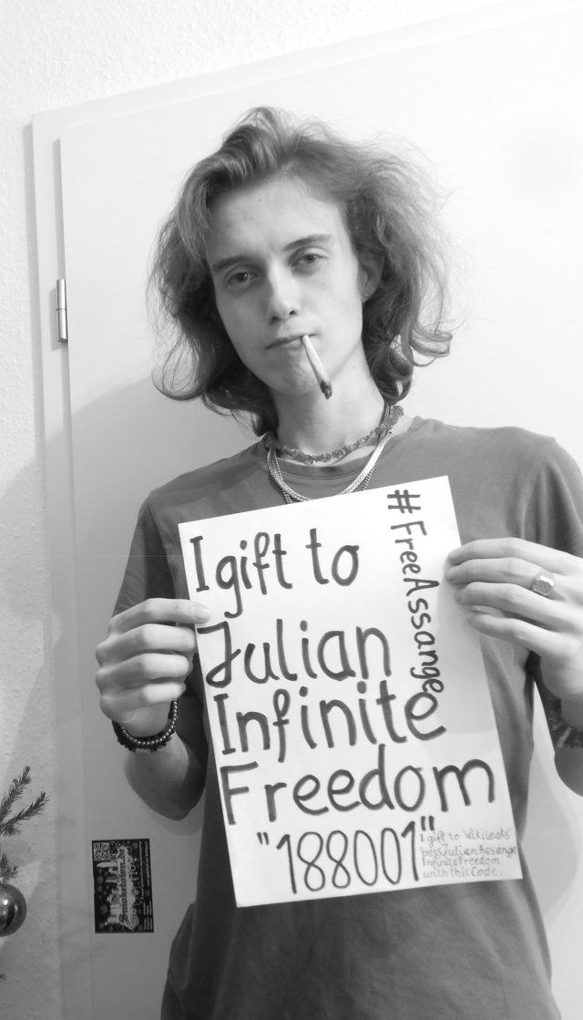 thegiftinfinitefreedom188001codetojulianassange.JPG