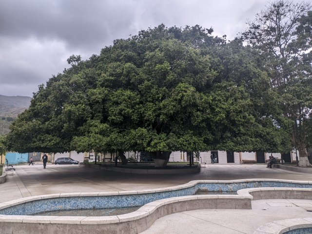 PXL_20250422_124421140.jpg