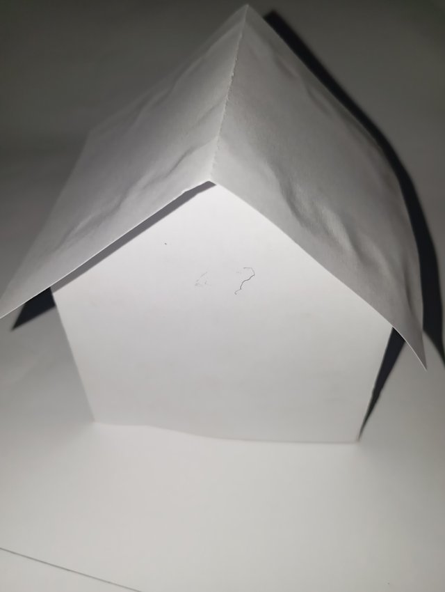 1000049540.jpg