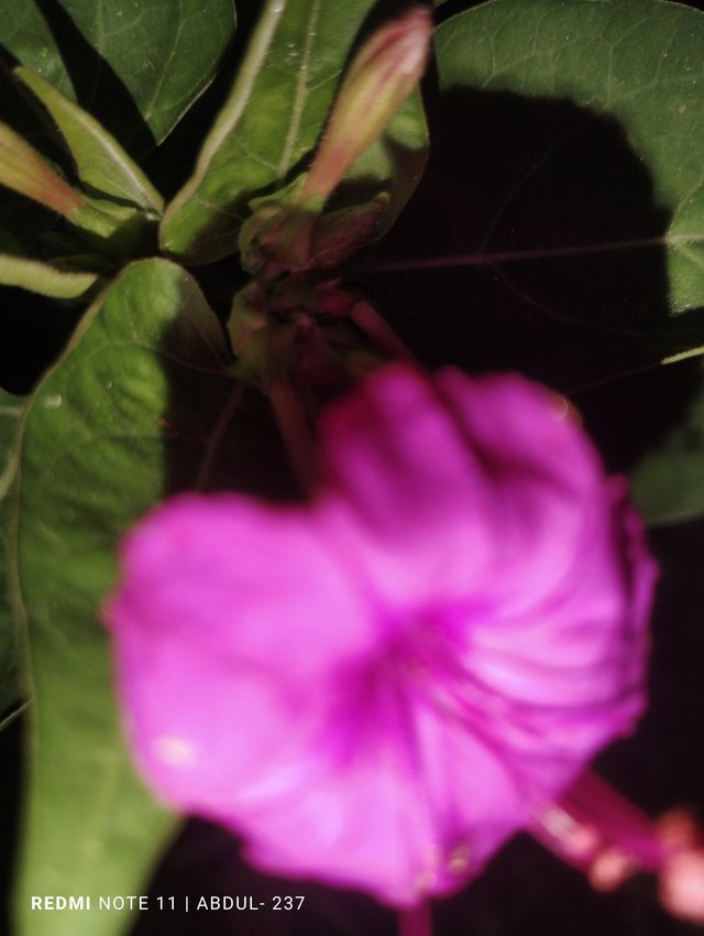 IMG_20250830_182341.jpg