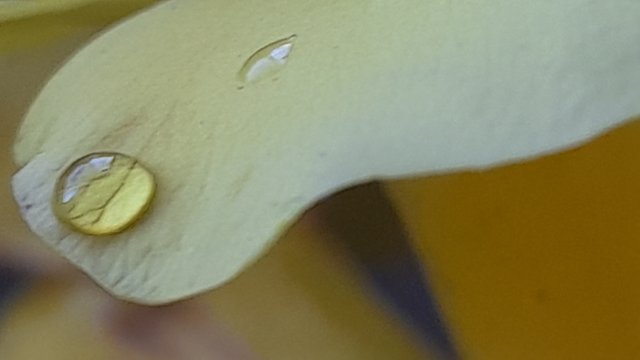 20250806_150252.jpg
