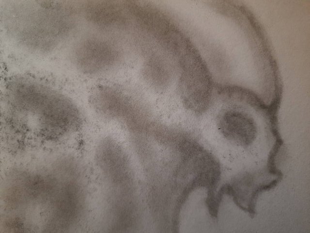 20250424_104114.jpg