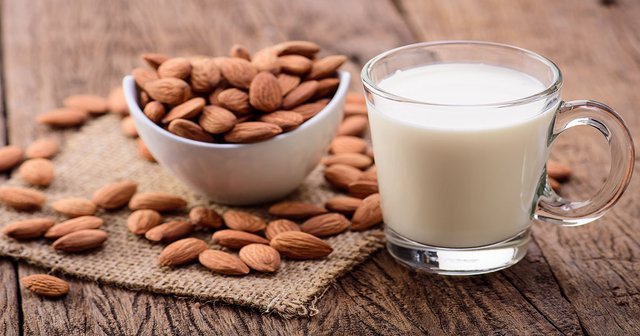 Almond Milk Manufacturing Plant Project Report.jpg