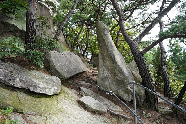 b-DSC02718.JPG