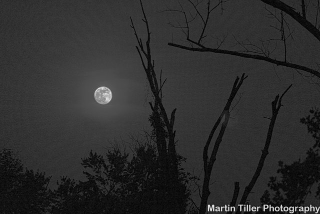 Full moon edit black and white (1 of 1).jpg