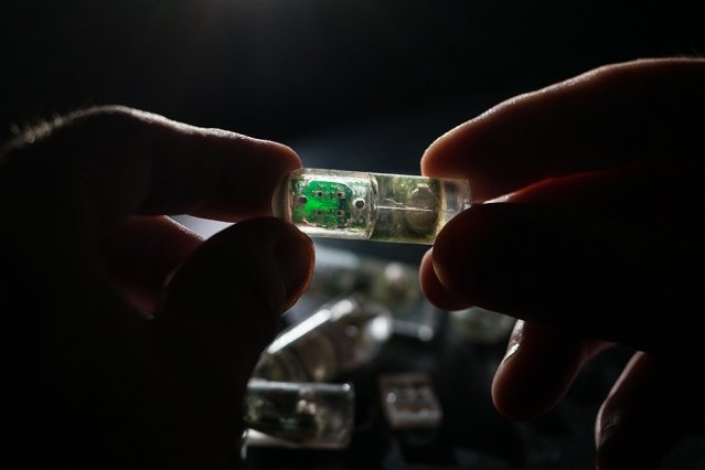 MIT-Ingestible-Sensor-01_0.jpg