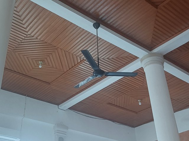 1000076054.jpg