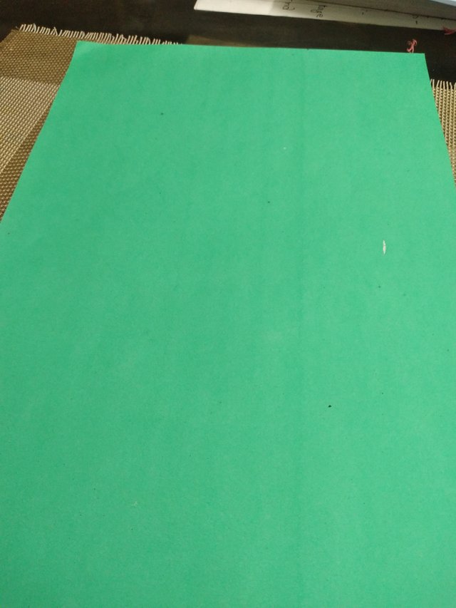 20250705_120331.jpg