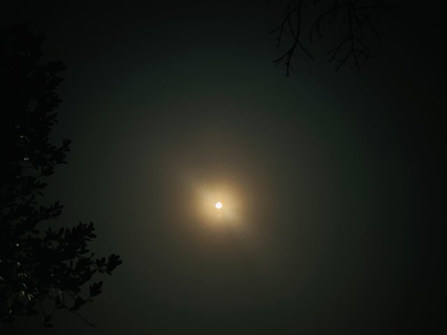 IMG_8909.jpeg