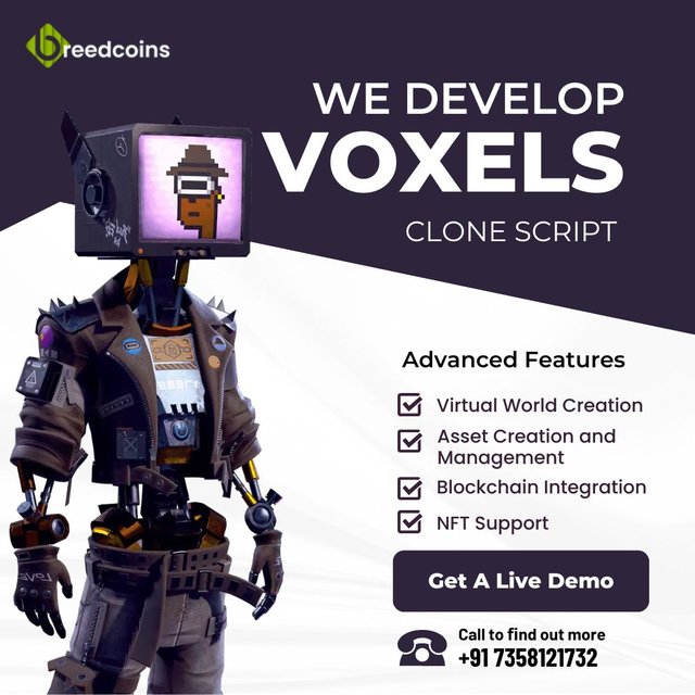 Voxels Clone Script (4).jpg