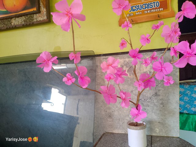 IMG_20250313_155810_247.jpg