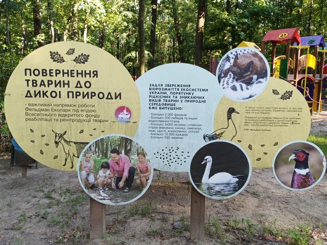 20250705_175951.jpg