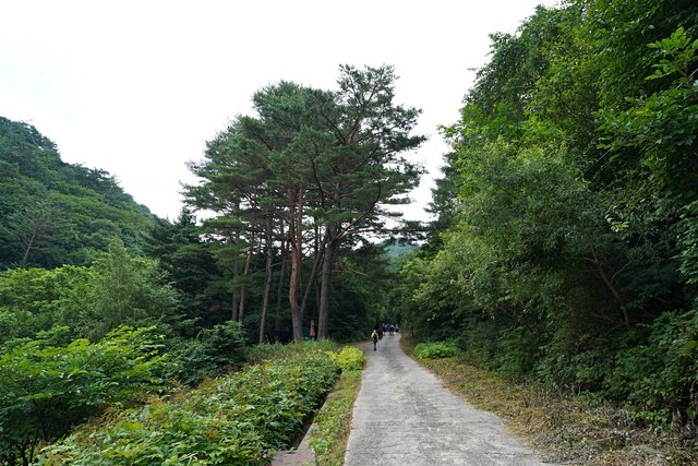 b-DSC00035.JPG
