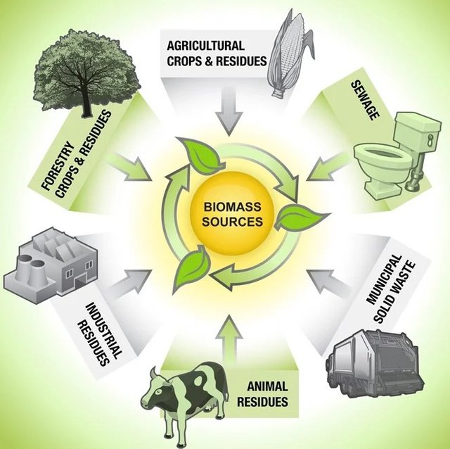 biomass_resources1 (1).jpg