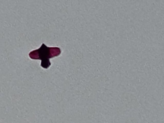 20250426_184503.jpg