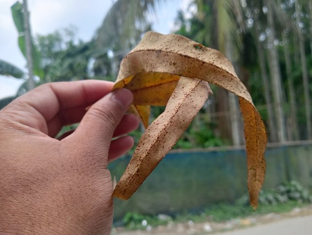 IMG20250610135915.jpg
